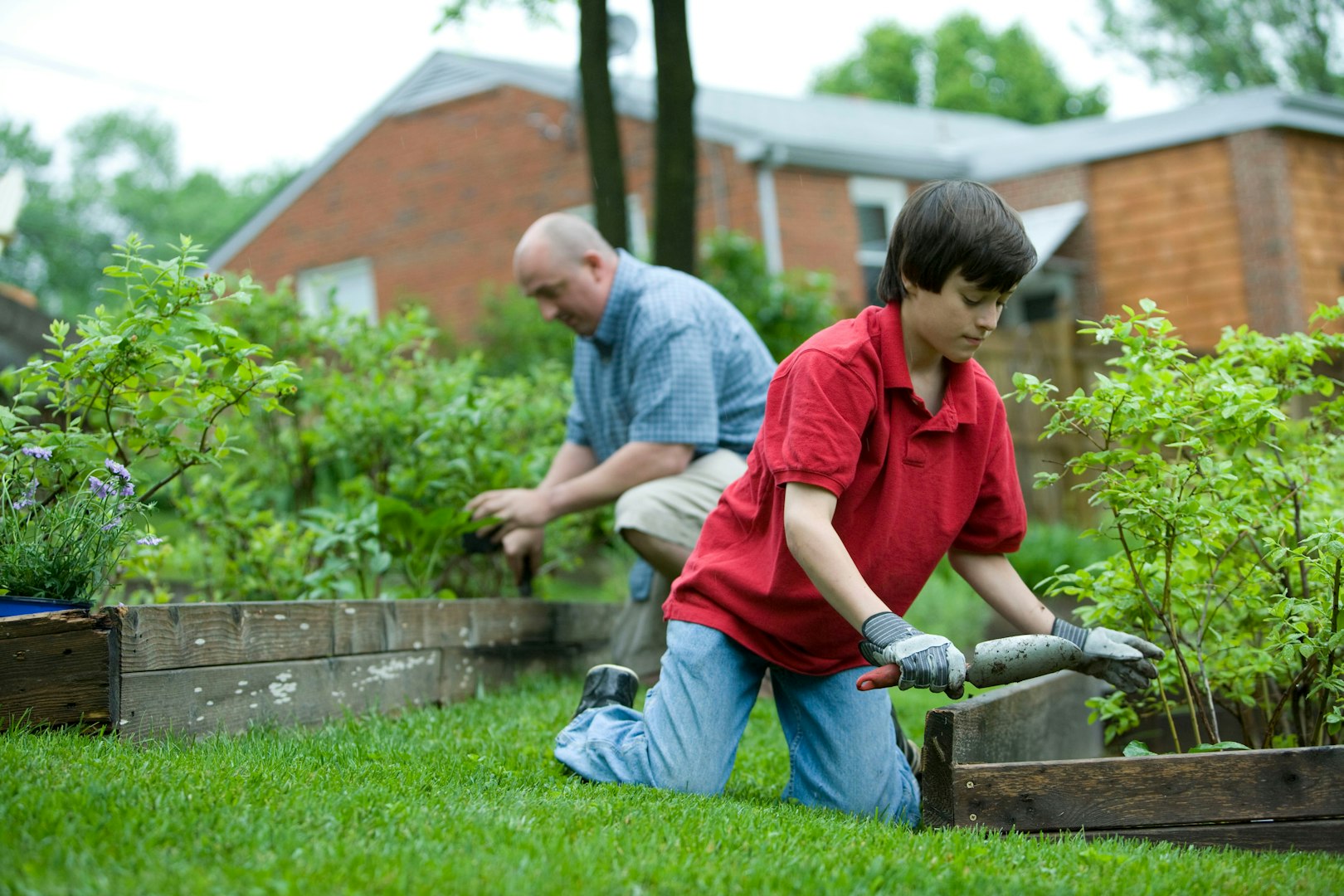 Residential Maintenance